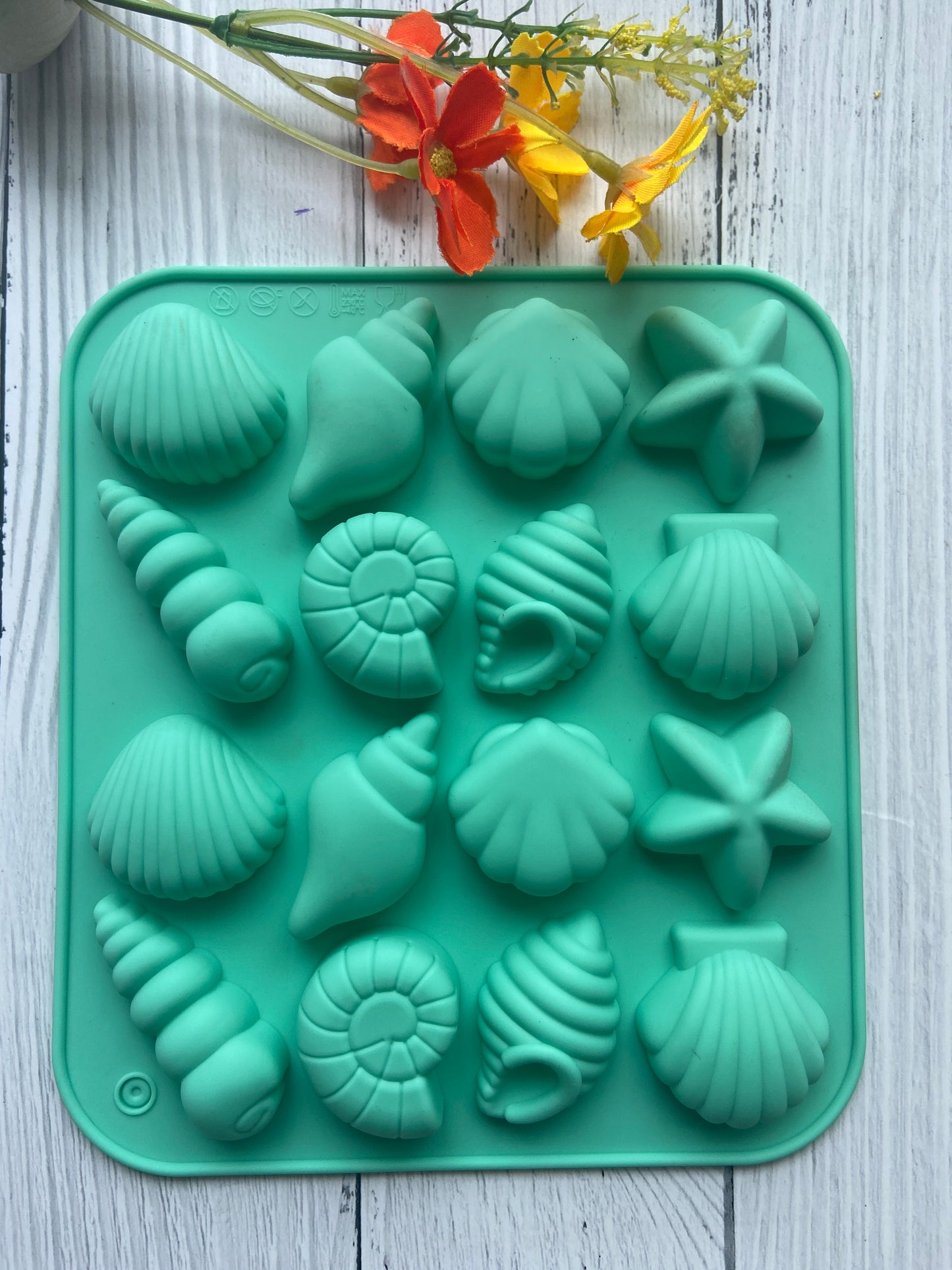 Shells Theme