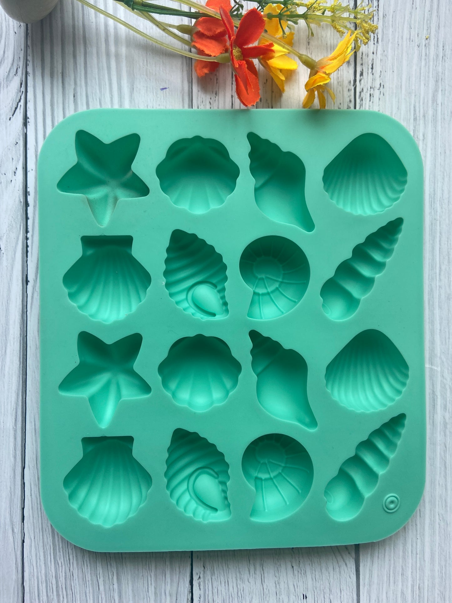 Shells Theme