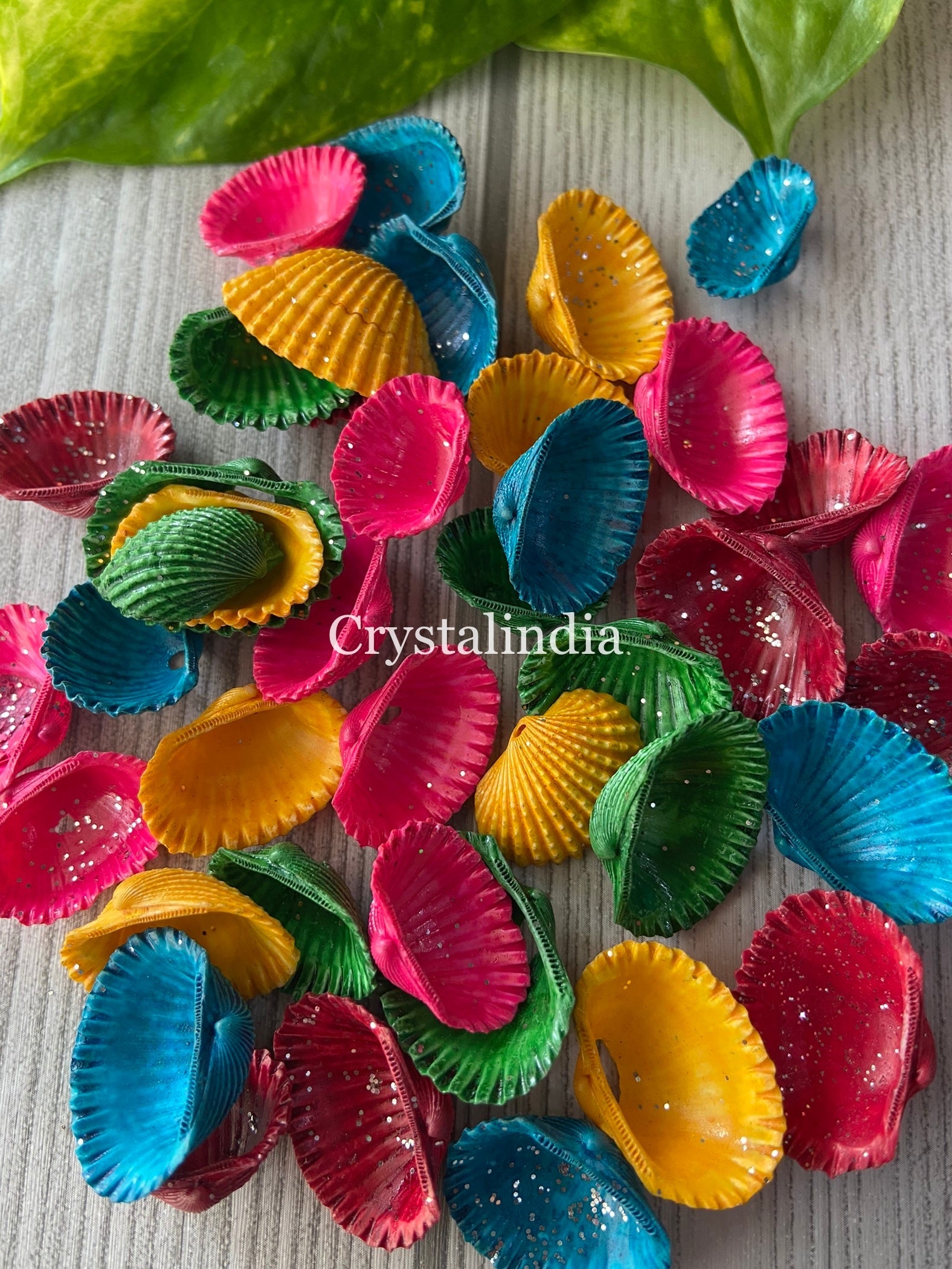 Colored Shells – CrystalIndia